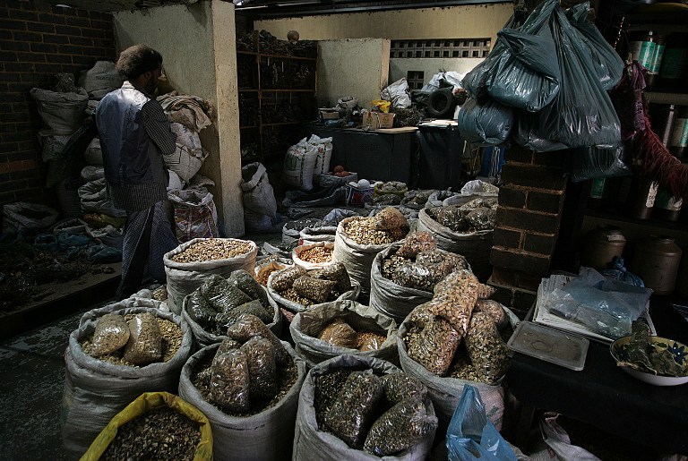 Traditional healer in Lovemore Heights
