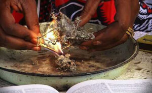 Traditional healer and lost love spell caster in Lenasia
